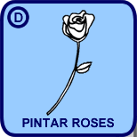 Pintar Roses